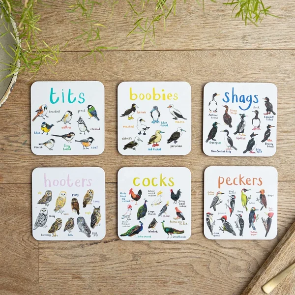 Funny Bird Coasters Set of 6