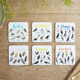 Funny Bird Coasters Set of 6