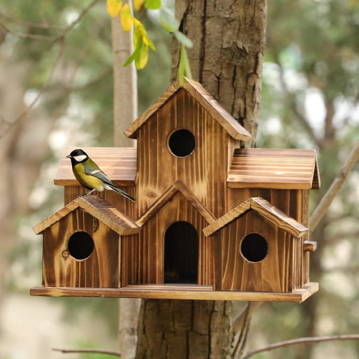 6-Holes Handmade Bird House