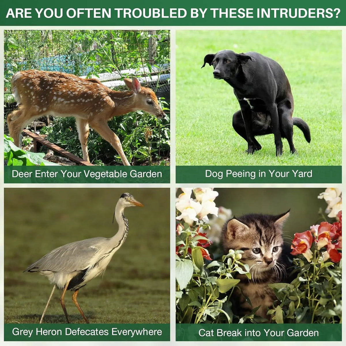Solar-Powered Animal Repeller,Repellent for Outdoor Farm and Orchard Use