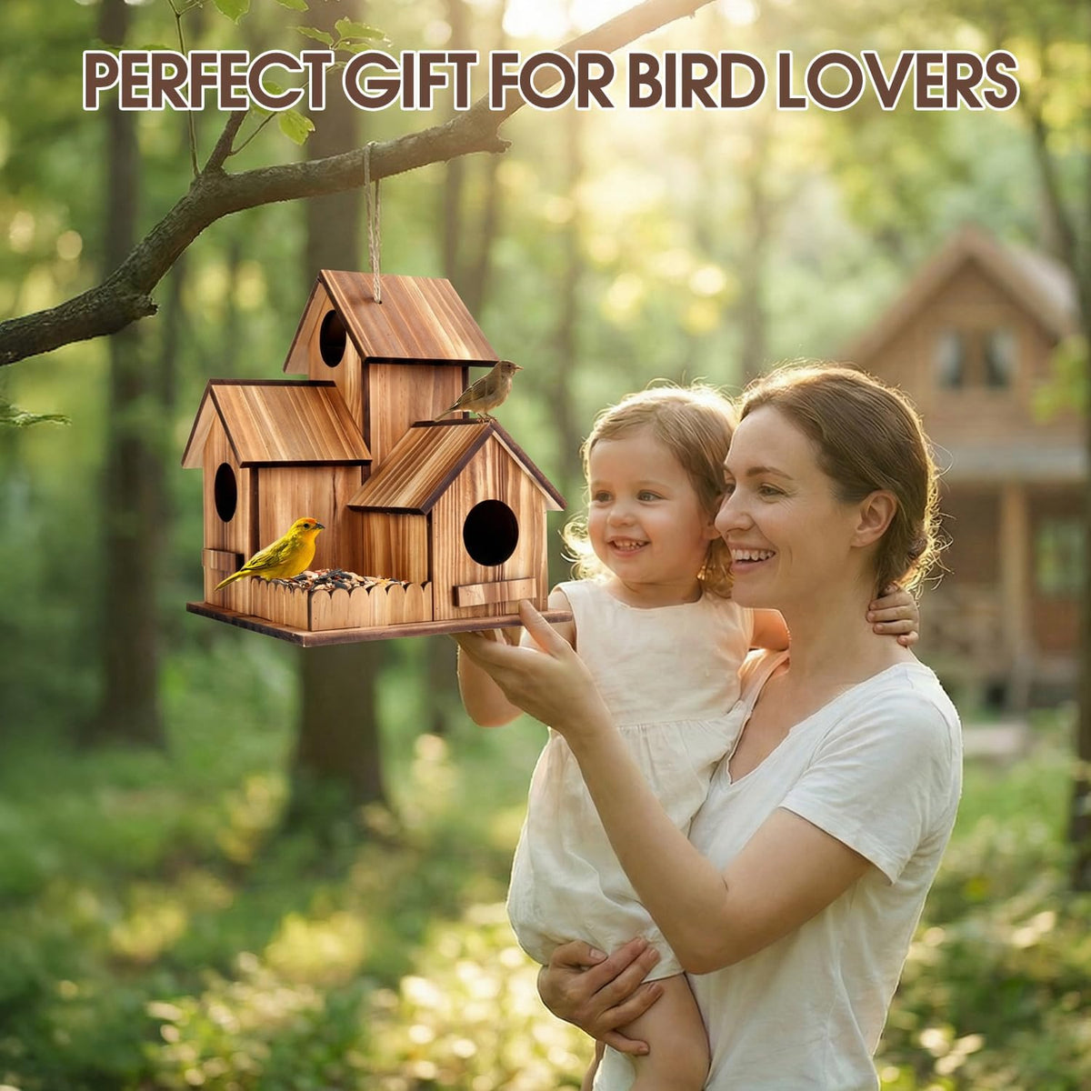 3-Holes Handmade Bird House