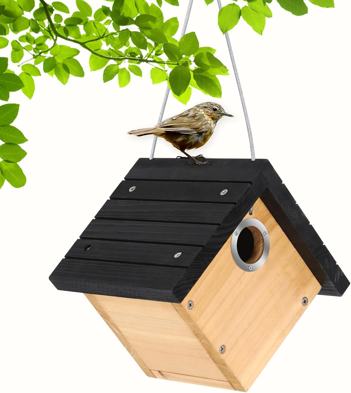 Hanging Wren Bird Houses