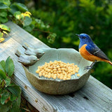 Ceramic Bird Bath Bowl – Elegant Outdoor Feeder & Bee Water Dish for Garden Birds