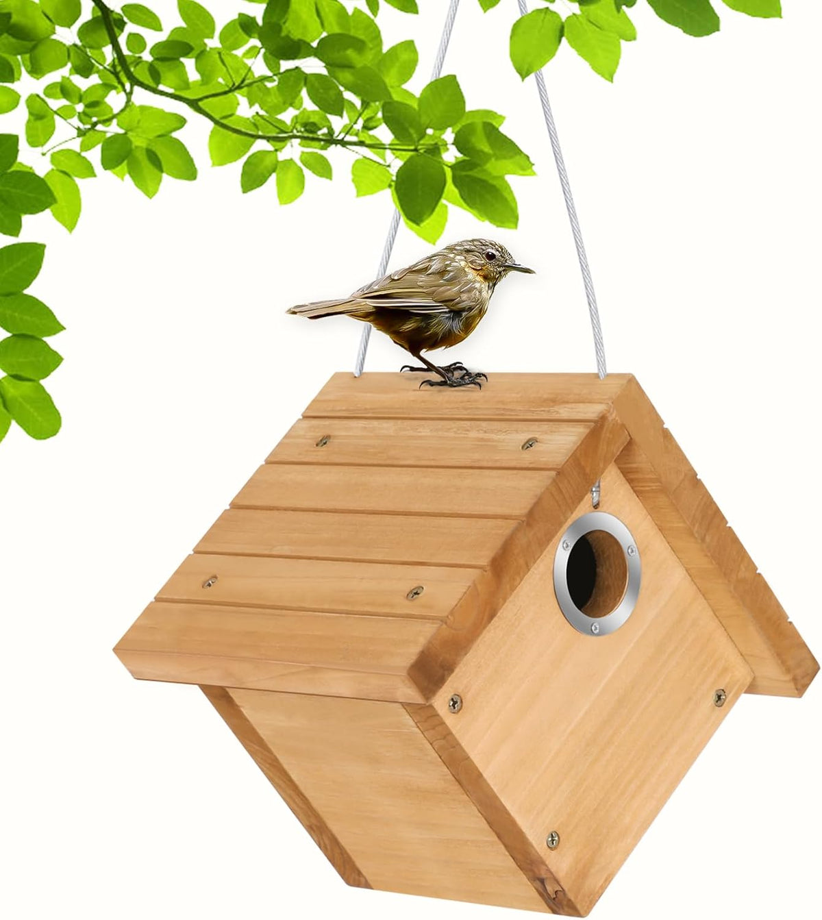 Hanging Wren Bird Houses