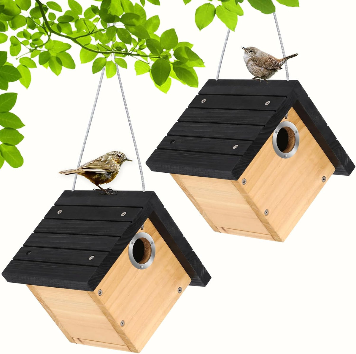 Hanging Wren Bird Houses