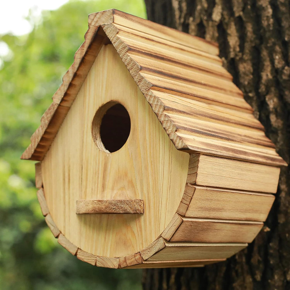 Natural Wooden Bird House