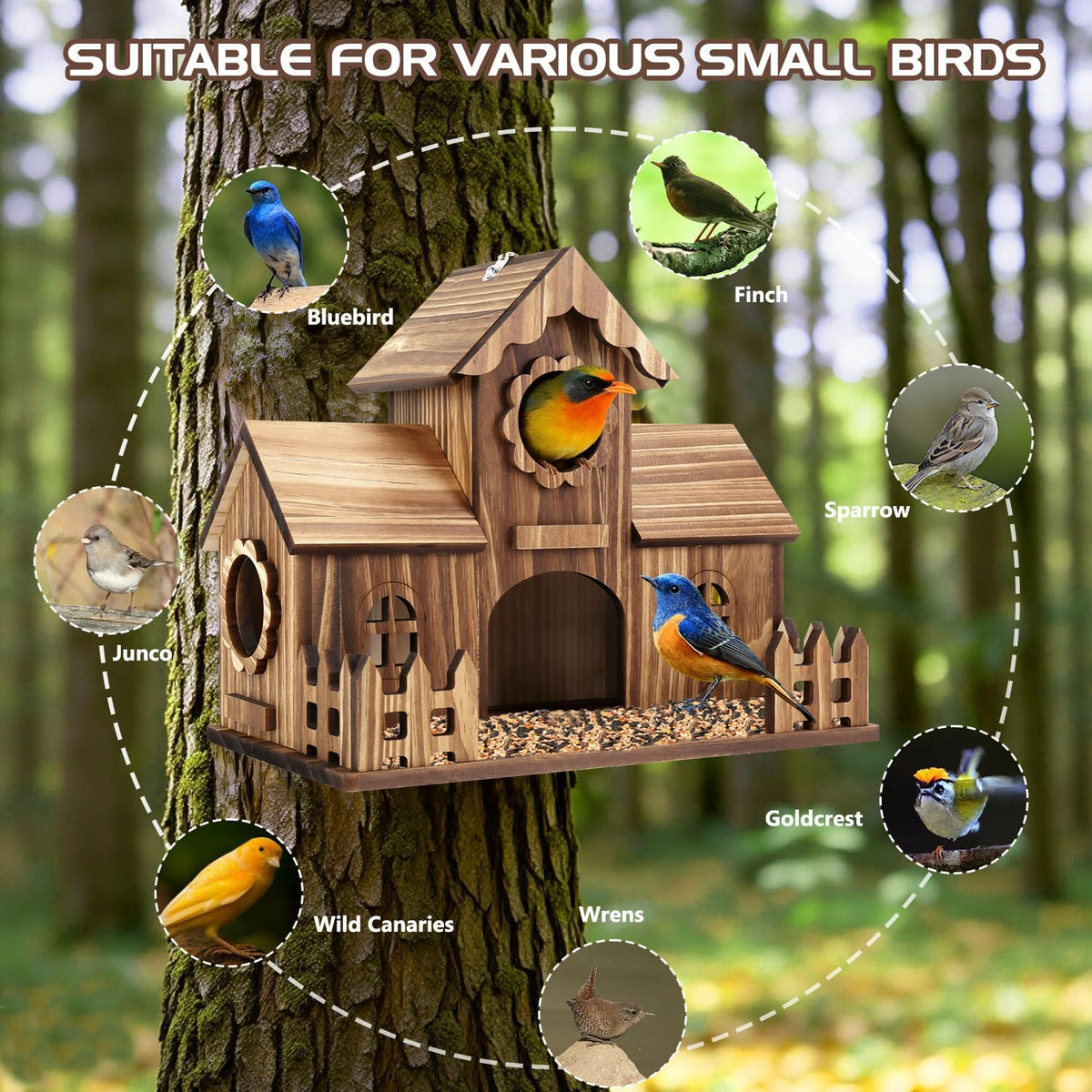 4-Holes Handmade Bird House