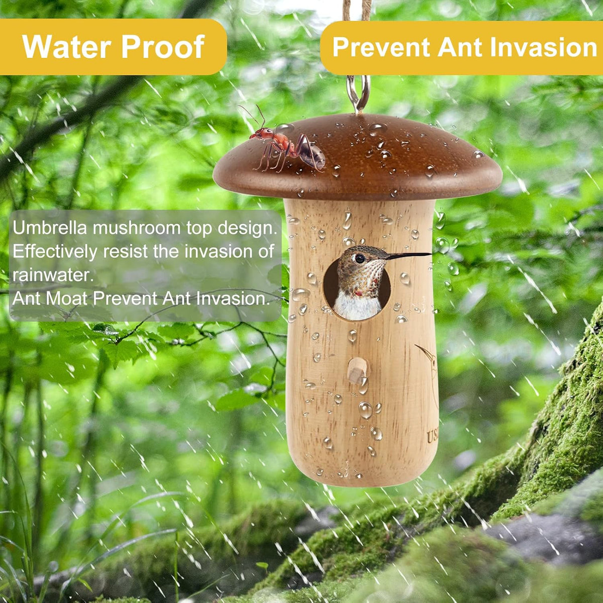 Hummingbird House 2-Pack