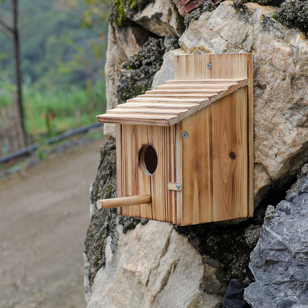 Wooden Bird House for Finch Bluebird Cardinals