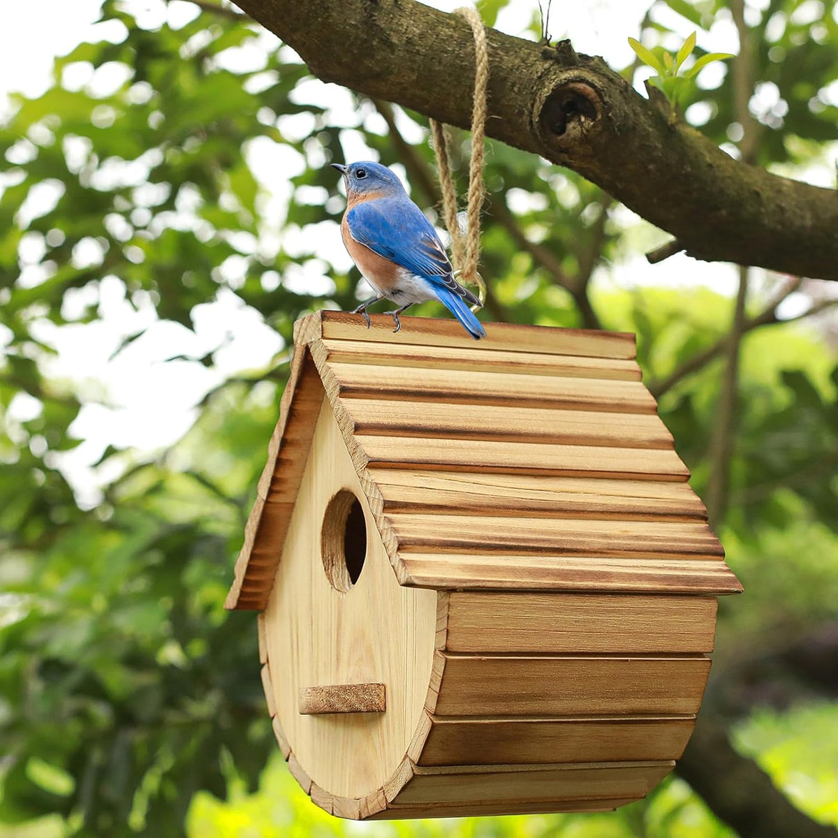Natural Wooden Bird House