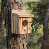 Humming Bird Houses for Outdoor Hanging Small Bird Nesting Box