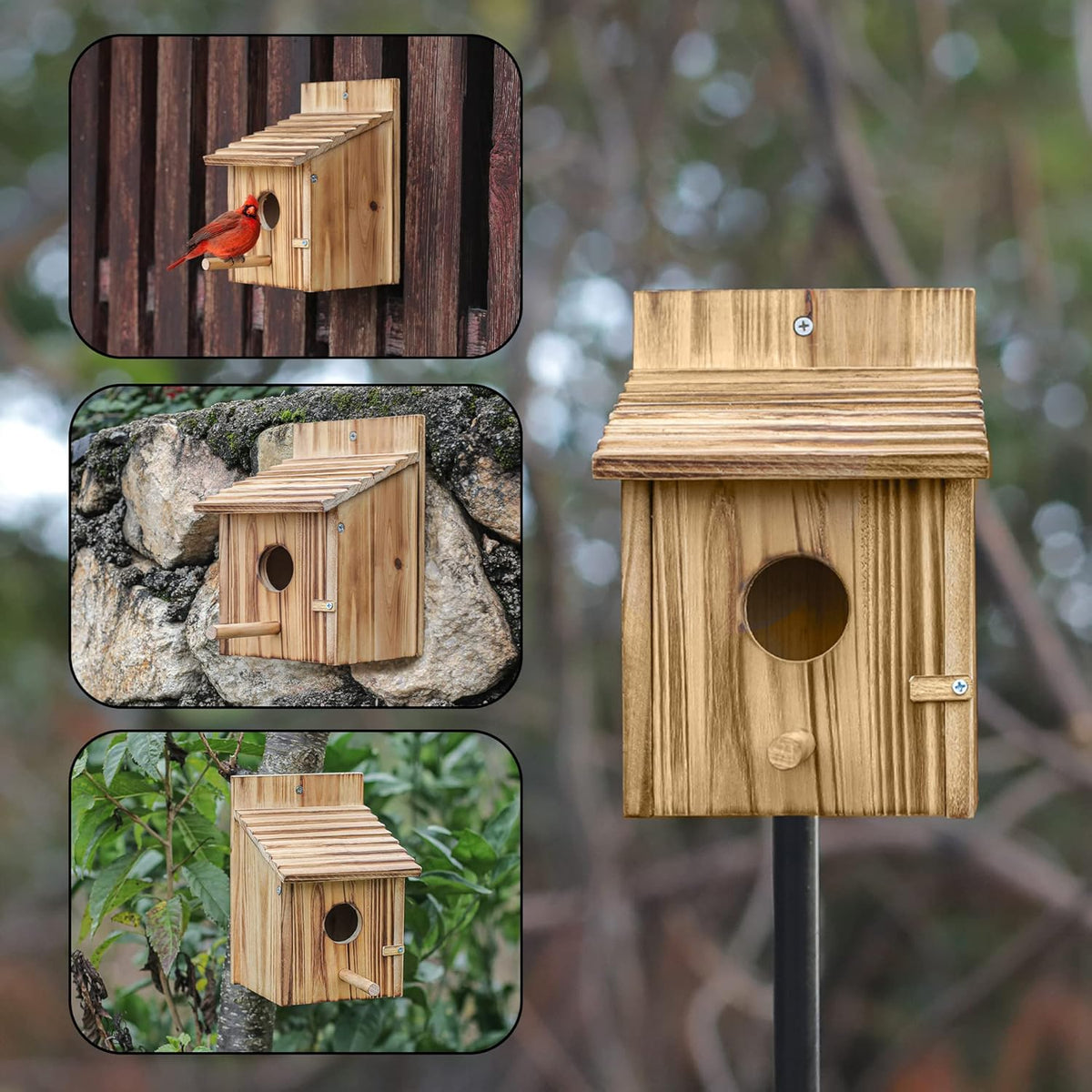 Wooden Bird House for Finch Bluebird Cardinals