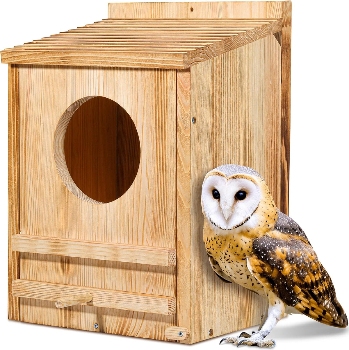 Large Barn Owl Wood House For Outside