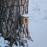 Humming Bird Houses for Outdoor Hanging Small Bird Nesting Box