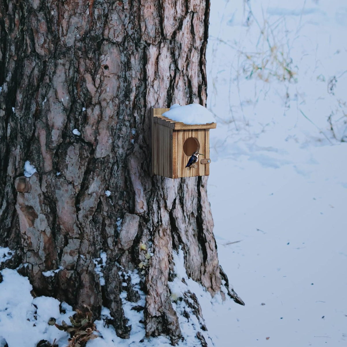 Humming Bird Houses for Outdoor Hanging Small Bird Nesting Box