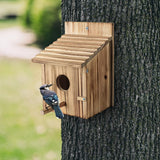 Wooden Bird House for Finch Bluebird Cardinals