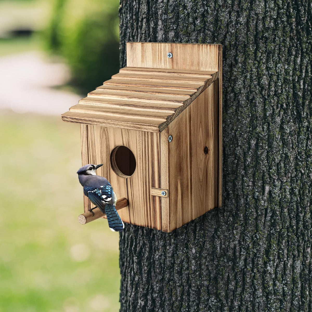 Wooden Bird House for Finch Bluebird Cardinals