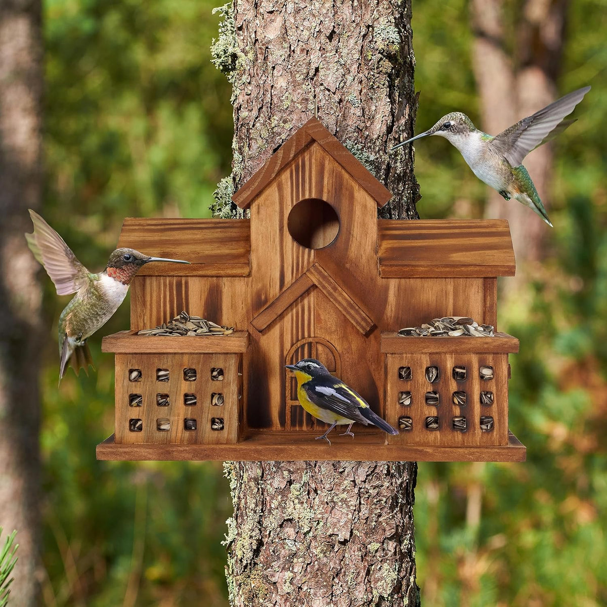3 Hole Wood Bird House