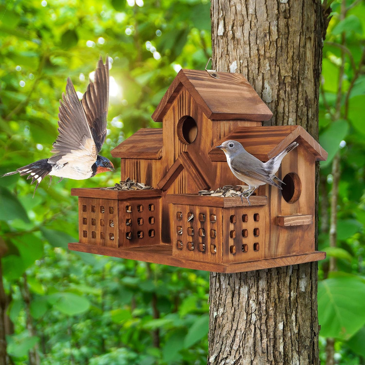 3 Hole Wood Bird House