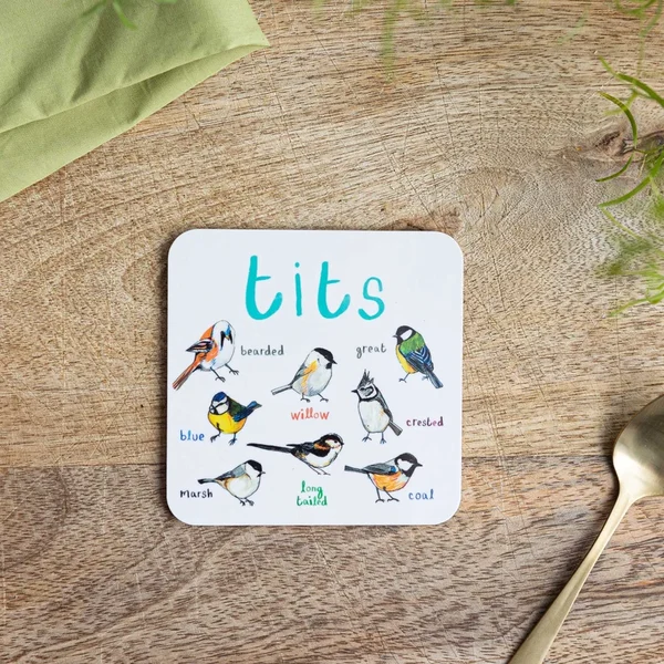 Funny Bird Coasters Set of 6