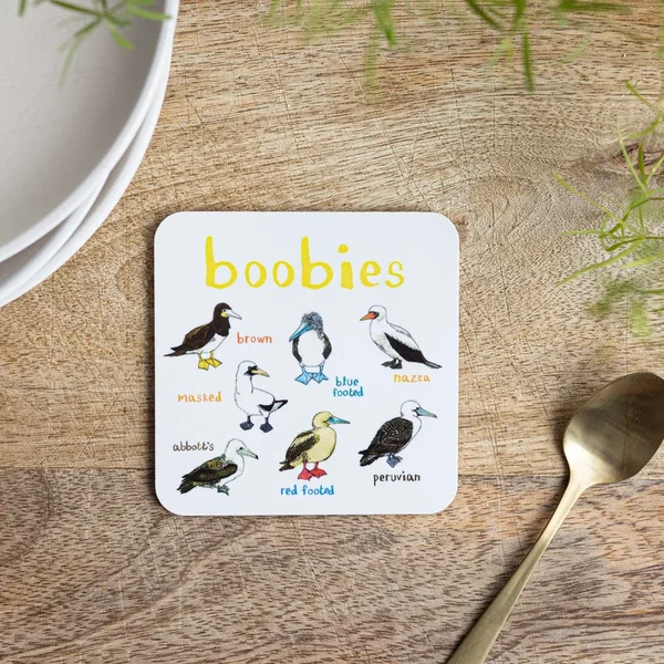 Funny Bird Coasters Set of 6