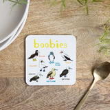 Funny Bird Coasters Set of 6