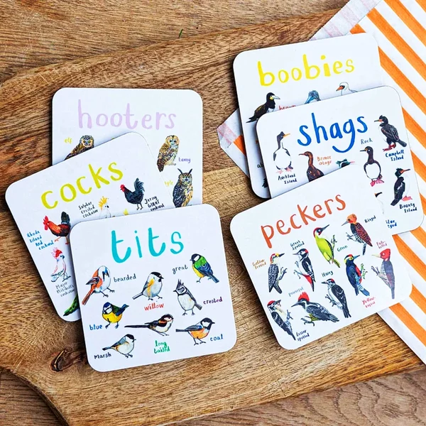 Funny Bird Coasters Set of 6